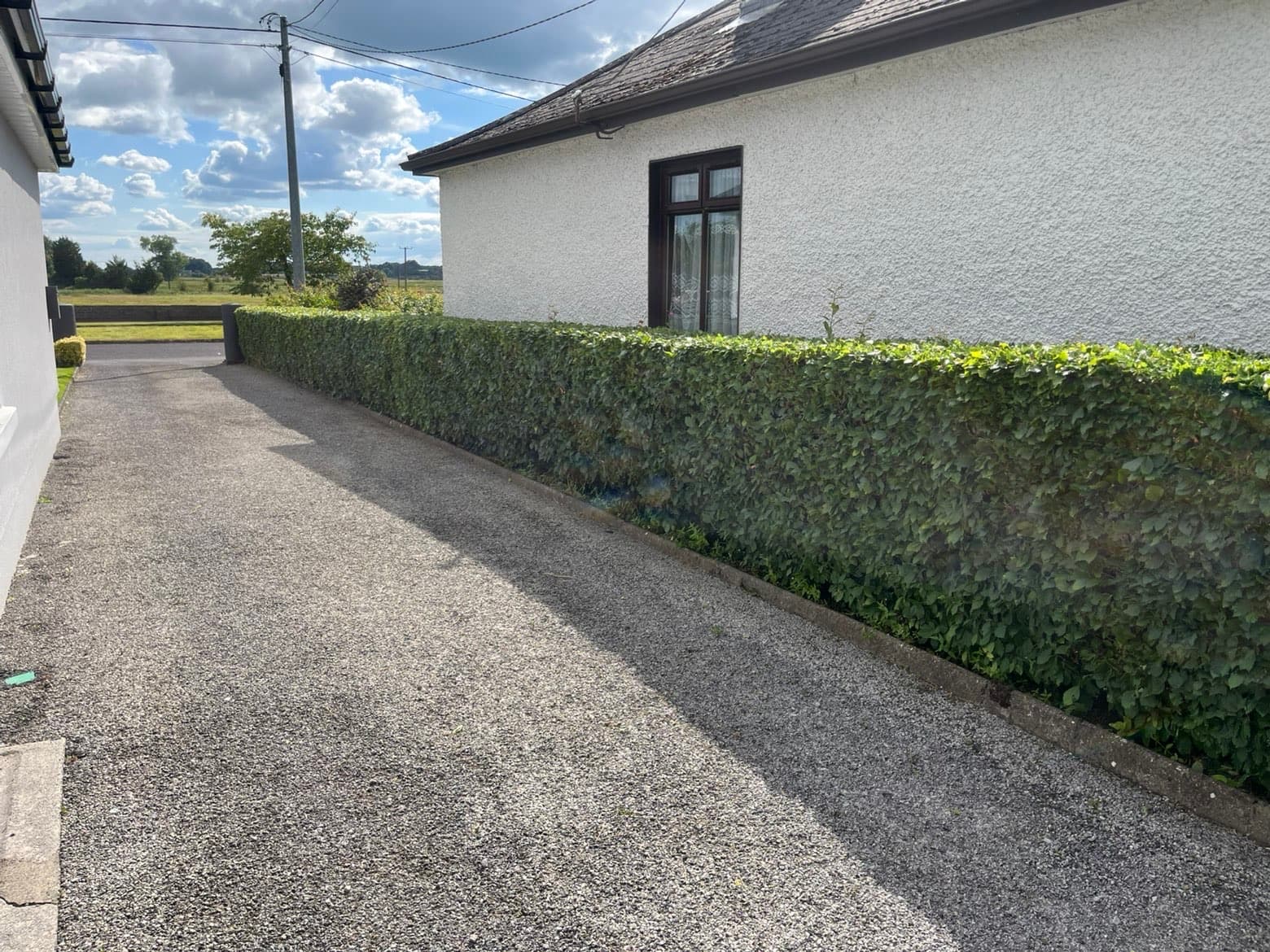 Freshly trimmed hedge along a driveway
